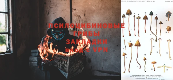 экстази Алзамай