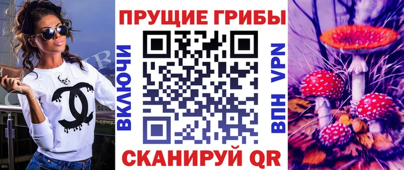 хочу наркоту Кулебаки Псилоцибиновые грибы MAGIC MUSHROOMS